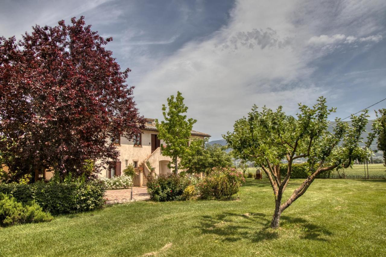 Agriturismo Il